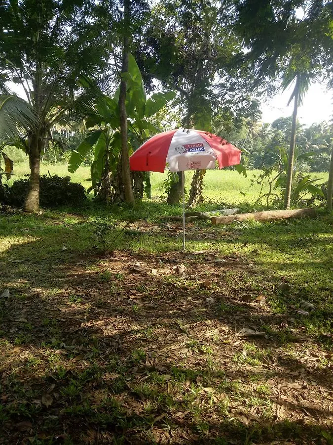 Palmy Lake Resort Alappuzha India